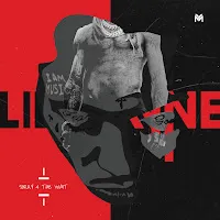 Lil Wayne — Tunechi Rollin' — обложка